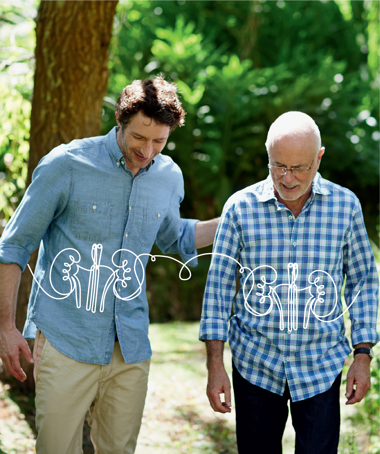 What is the role of the kidneys?