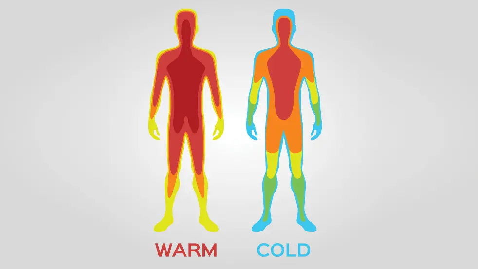 Onze huid regelt onze lichaamstemperatuur.