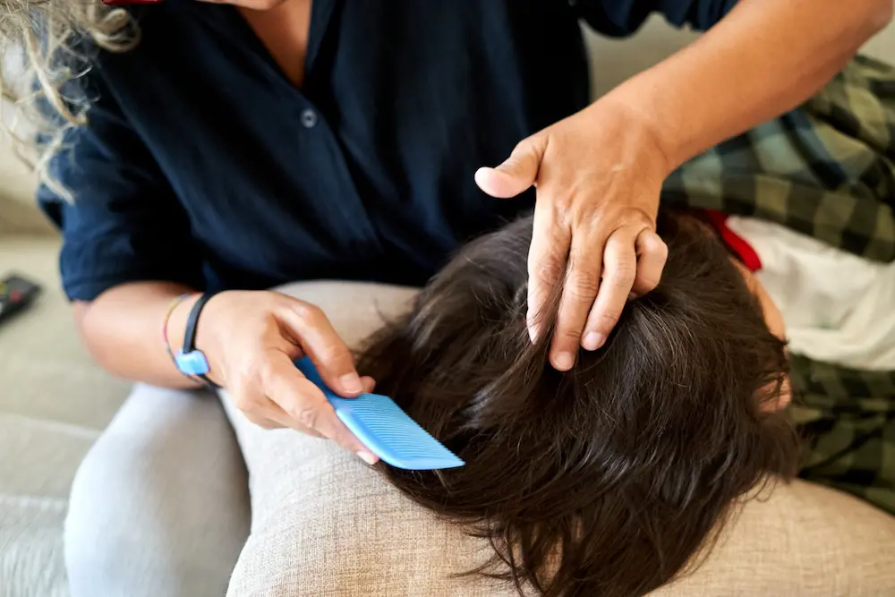 Comment traiter les poux efficacement et durable avec Silikom. 