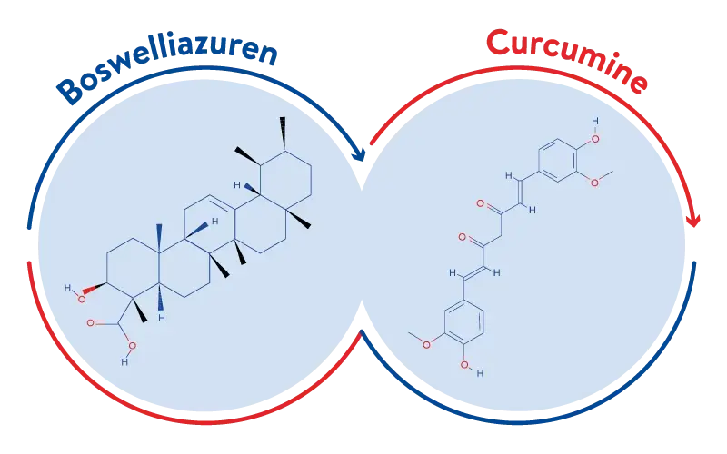 Curcumine en boswelliazuren worden gecombineerd voor een versterkend effect.