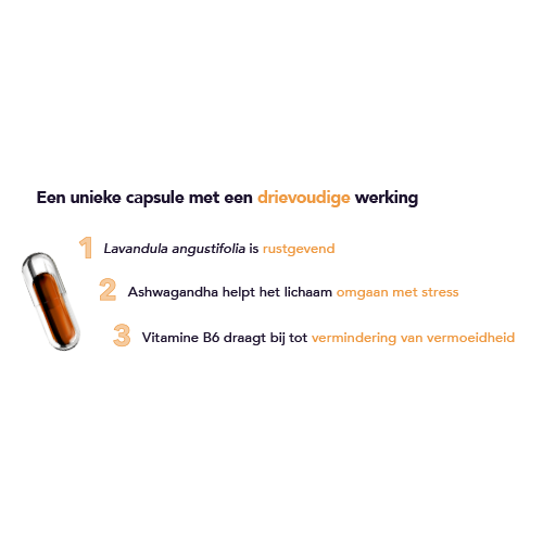 Onze snelle levensstijl leidt tot stresssymptomen zoals piekeren, hoofdpijn, concentratieproblemen, een slecht humeur, vermoeidheid en lichamelijke klachten. 
