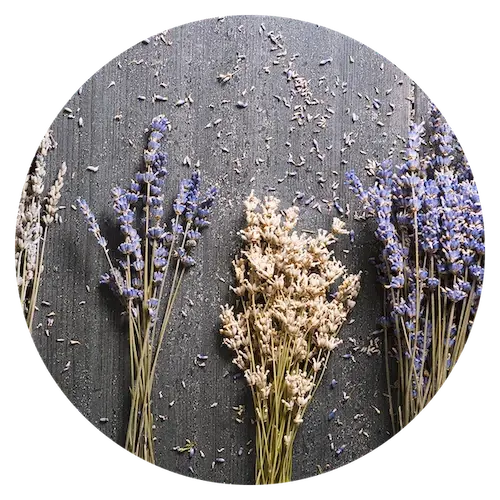 Wat zijn natuurlijke slaapmiddelen?