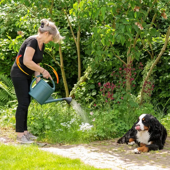 Ons bewegingsapparaat zit ingenieus in elkaar: spieren, pezen, gewrichten en kraakbeen werken samen om ons vlot te laten bewegen.
