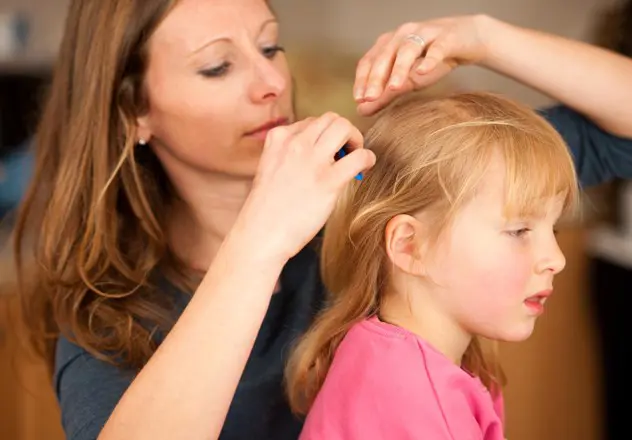 Consommateur - des poux