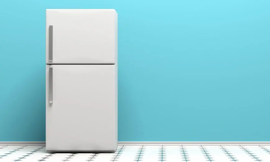 Le congélateur pendant 24 heures