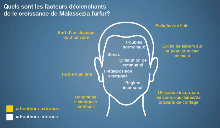 La croissance du champignon Malassezia furfur est influencée par plusieurs facteurs. 