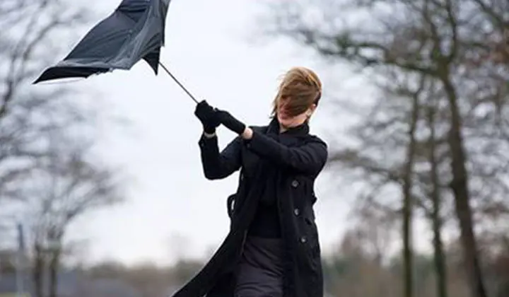 Luchtvervuiling kan onze talgproductie stimuleren en zo seborroïsch eczeem in de hand werken.