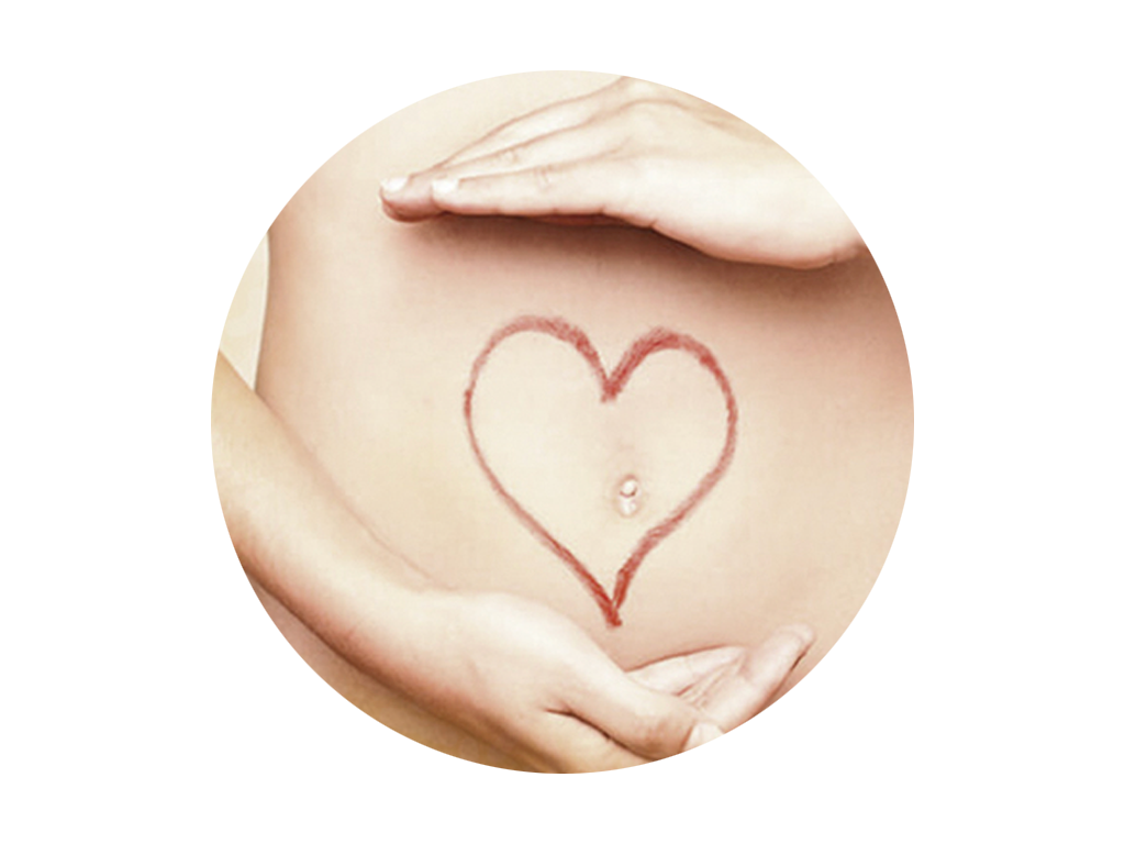 Flore intestinale saine