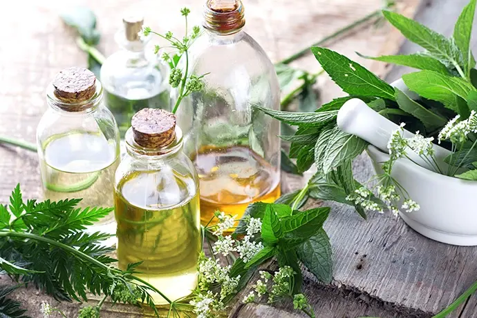 Depuis des milliers d’années, le boswellia serrata est utilisé dans la médecine ayurvédique indienne.