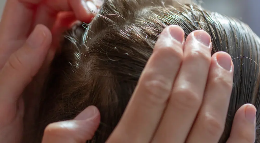  Des poux à l’école ? Pas de panique mais vérifiez la chevelure de votre enfant en utilisant la méthode du peigne sur cheveux mouillés.