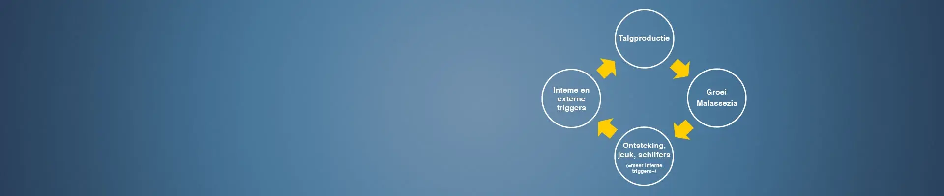 Seborroïsch eczeem is een vicieuze cirkel: het is een reactie van de huid die vecht tegen een vreemde indringer.
