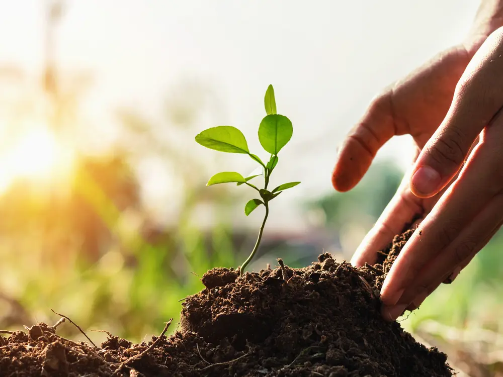 Continuer à bouger avec des solutions naturelles