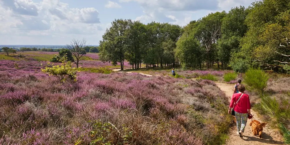 Mechels Broek en Barebeekvallei